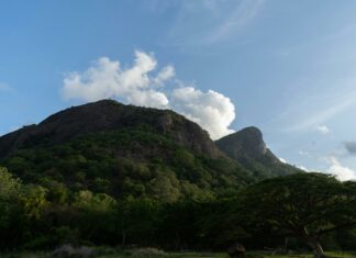 Games Like Stardew Valley That Will Captivate Your Imagination