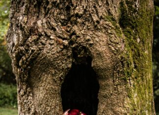 Free Hidden Object Games: Discover Your Next Adventure Today!