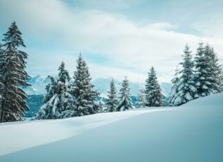 Who Won Squid Game Season 2? Discover the Shocking Winner!