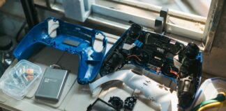 pexels photo 19987742