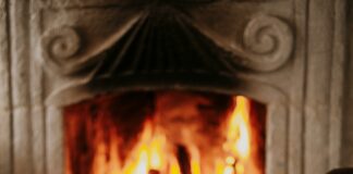 pexels photo 24877189