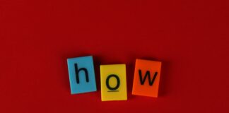 pexels photo 32392526