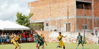 pexels photo 32424868