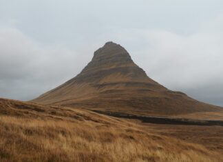 What Channel Is The Eagles Game On Today? Find Out Now!