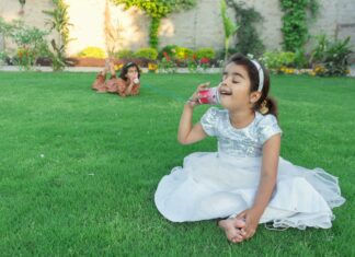 Blossom Game: Discover the Merriam-Webster Definition and Fun!