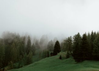 Silent Hill 1 Game: Uncover Its Haunting Secrets and Mysteries