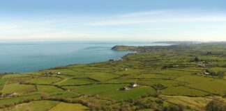 pexels photo 7060307 3