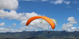 pexels photo 7259161