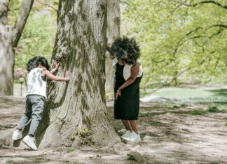 No Game No Life Season 2: Will It Finally Come to Our Screens?