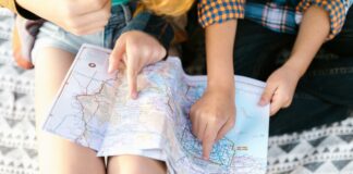 pexels photo 8083819