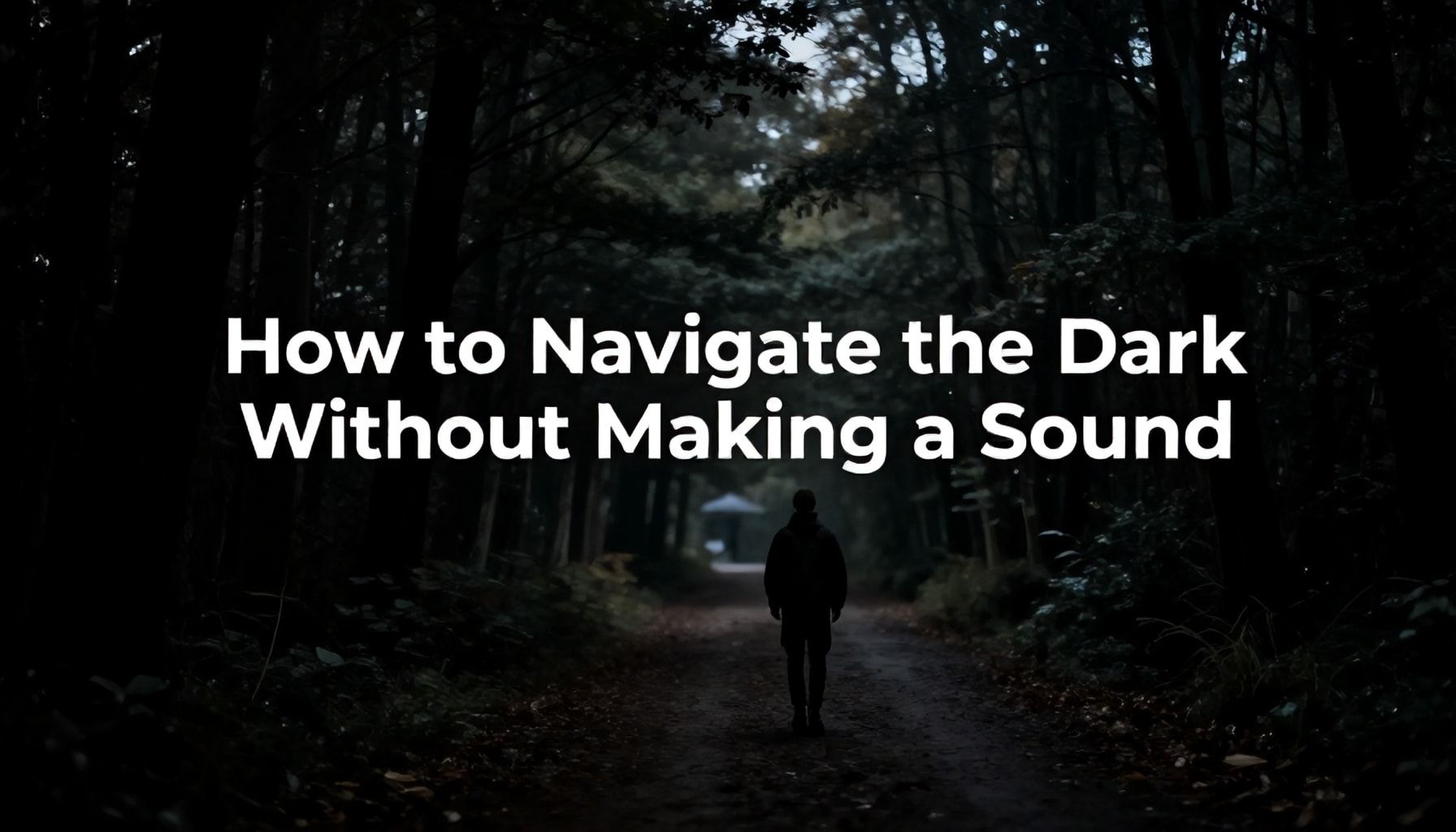 How to Navigate the Dark Without Making a Sound*