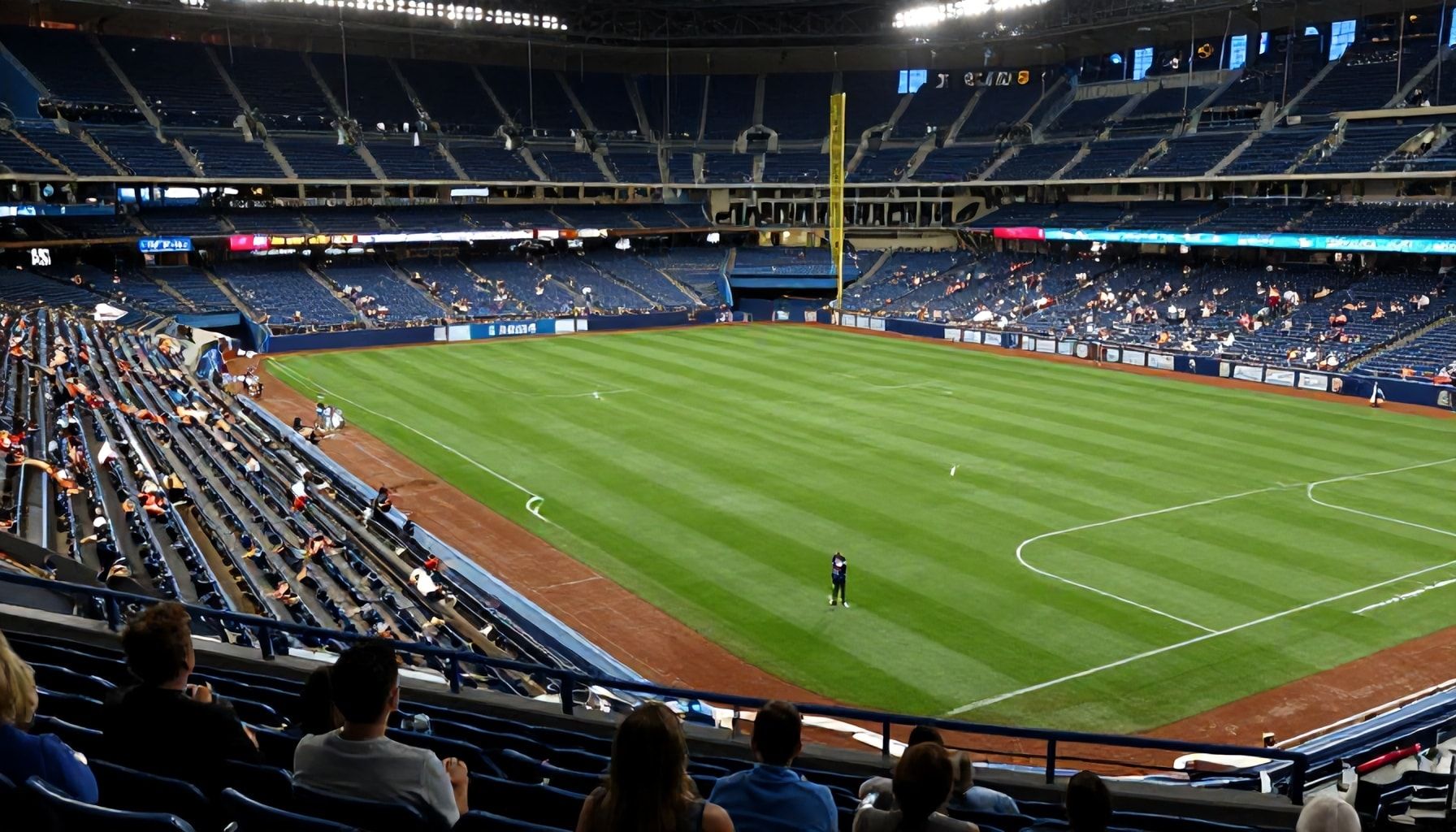 How to Snag the Best Seats for a Memorable Rays Experience*