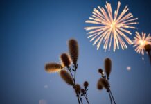 Global Celebrations: How Cultures Around the World Mark the Summer Solstice